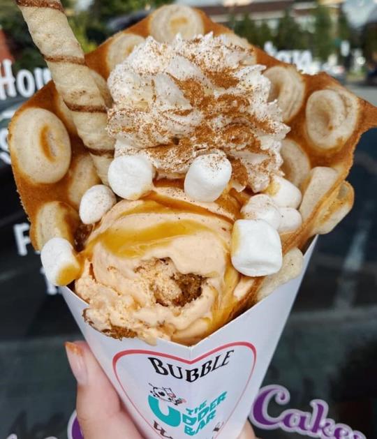 Allentown's The Udder Bar making sweet strides with new ice cream truck