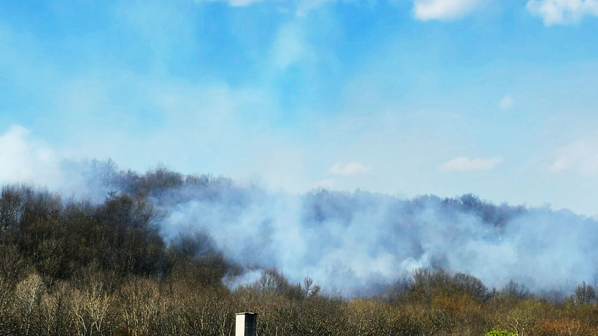 Crews battle 3 separate brush fires in Schuylkill County; 1 firefighter ...