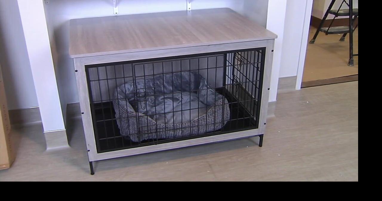 Domestic violence shelter offering pet-friendly accommodations for those fleeing abuse | Berks Regional News