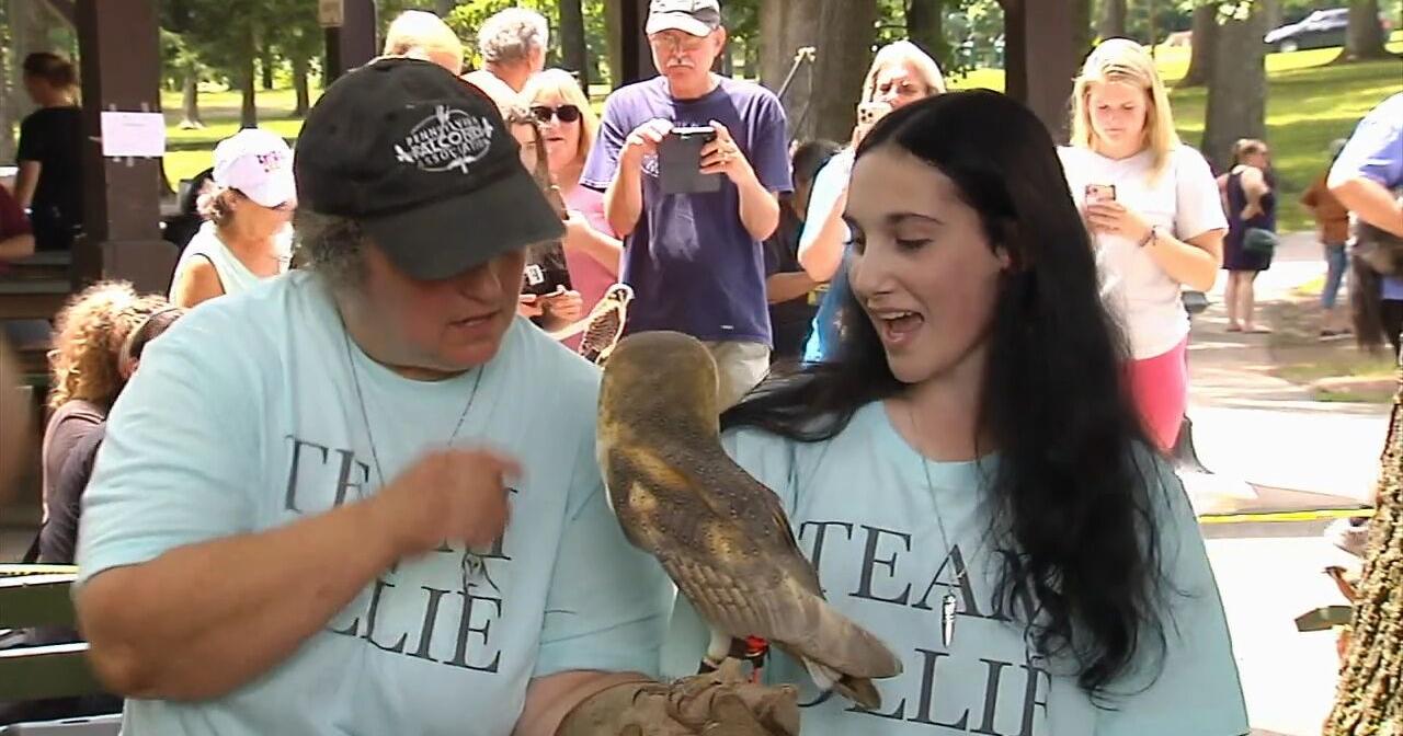 Boyertown residents rejoice as Ollie the Owl is found - Vimarsana News