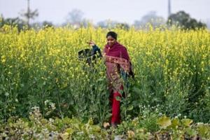 Rural India powers global AI models