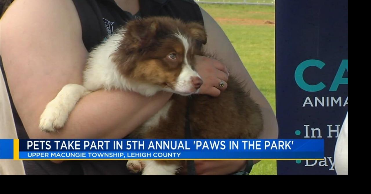 Annual Paws in the Park festival celebrates pets and owners in Upper Macungie Township | Lehigh County