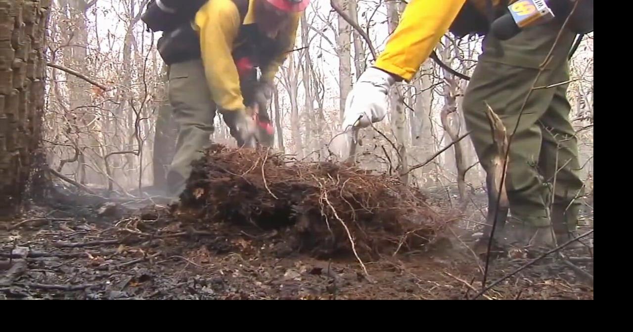 Neversink Mountain fire extinguished | Berks Regional News | wfmz.com