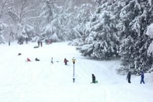 US winter storm brings rare hush to snowy New York