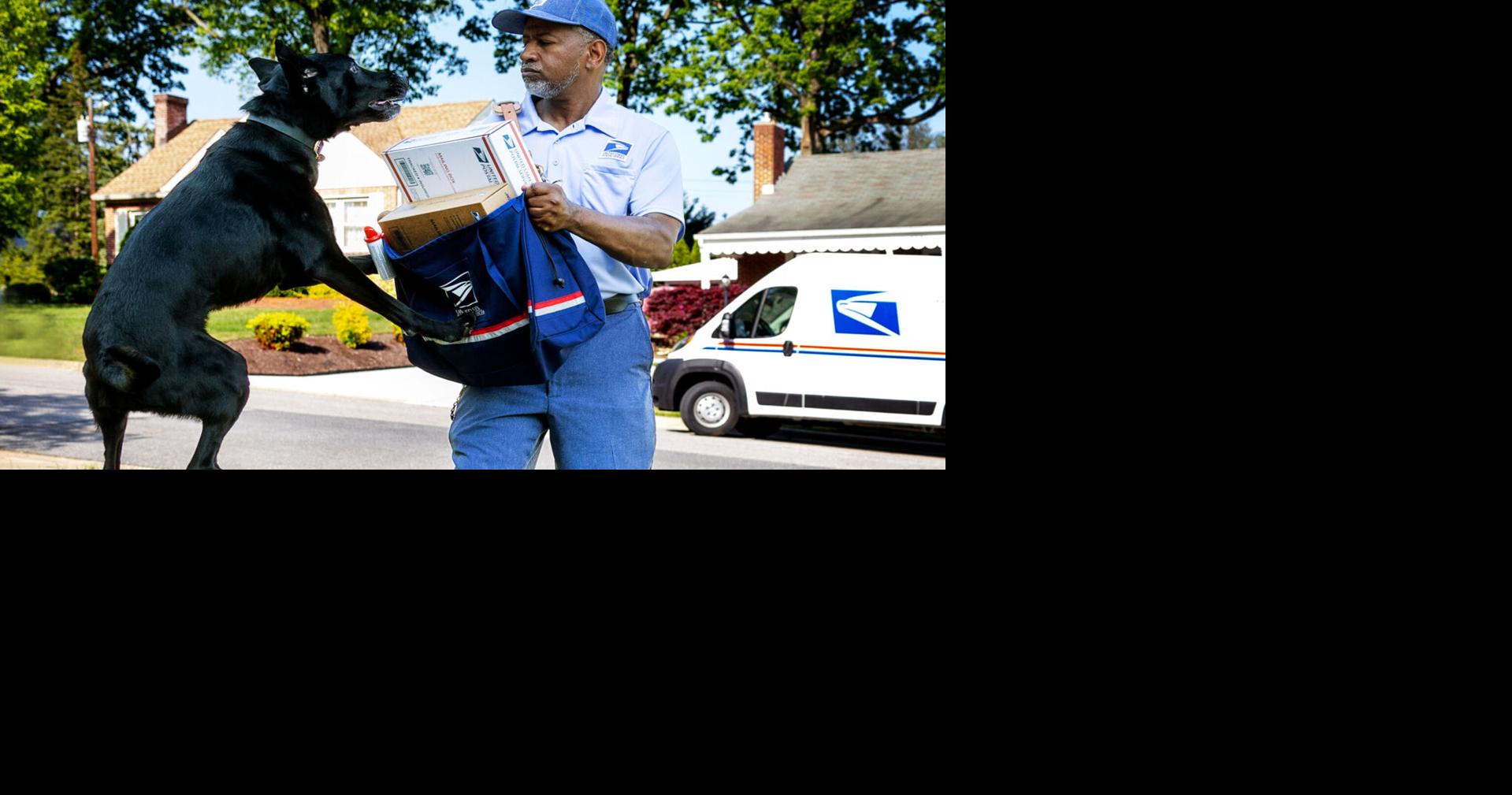 Dog owners asked by USPS to help with safe mail delivery | Pennsylvania News