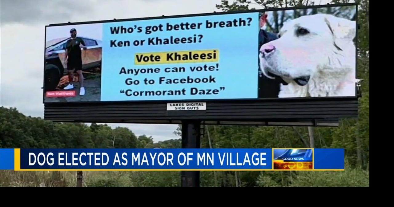 Top dog beats out YouTube personality for small town mayor | Good News ...