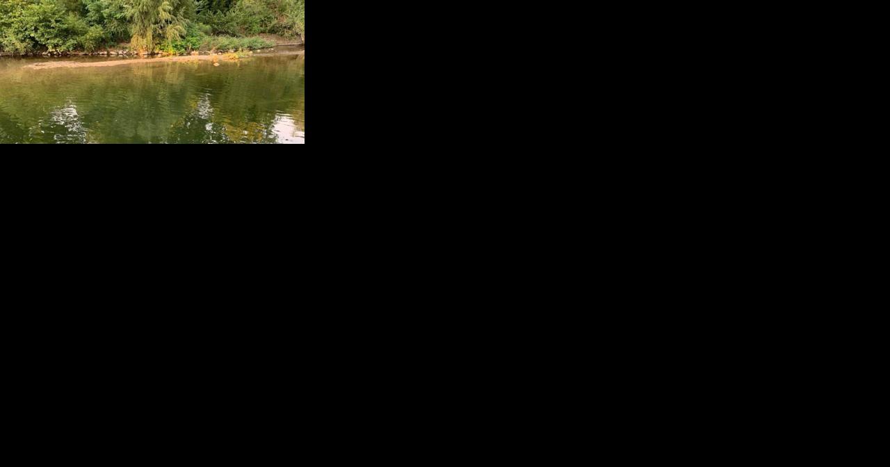 South Whitehall Considers Covered Bridge Park Remediation Study - Vimarsana News