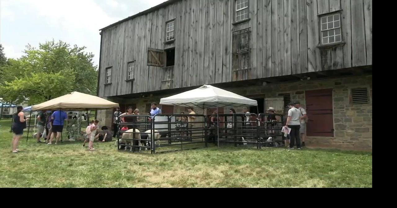 Blueberry Festival returns to Bethlehem Lehigh Valley Regional News