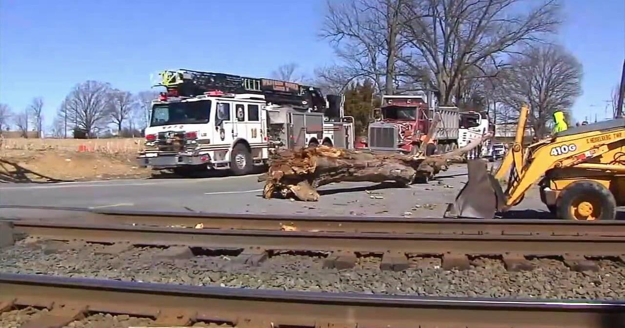 Tree falls on truck next to railroad, trapping driver - Vimarsana News
