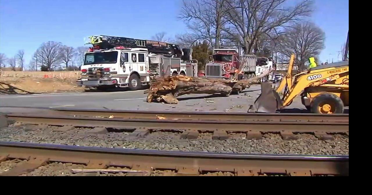Tree falls on truck next to railroad, trapping driver | Berks Regional ...