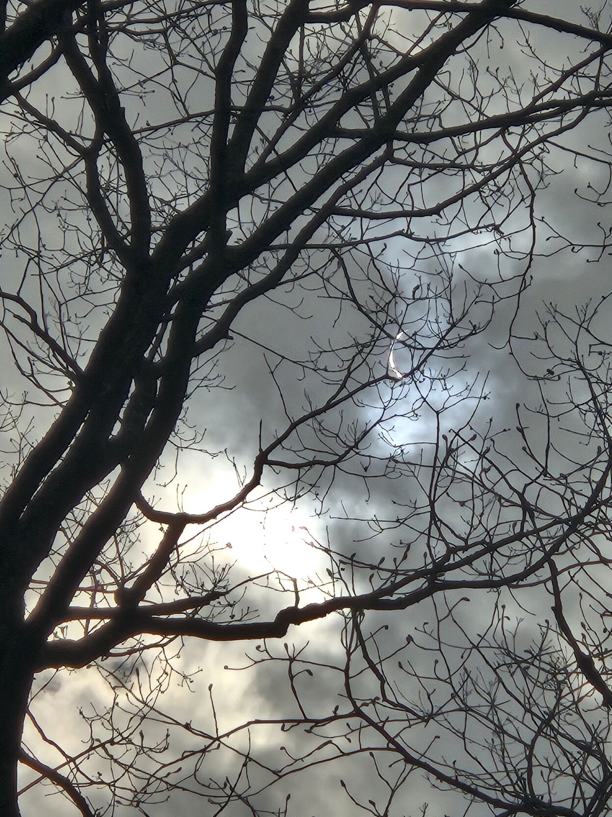 Weather Wfmz - 8vxcz70