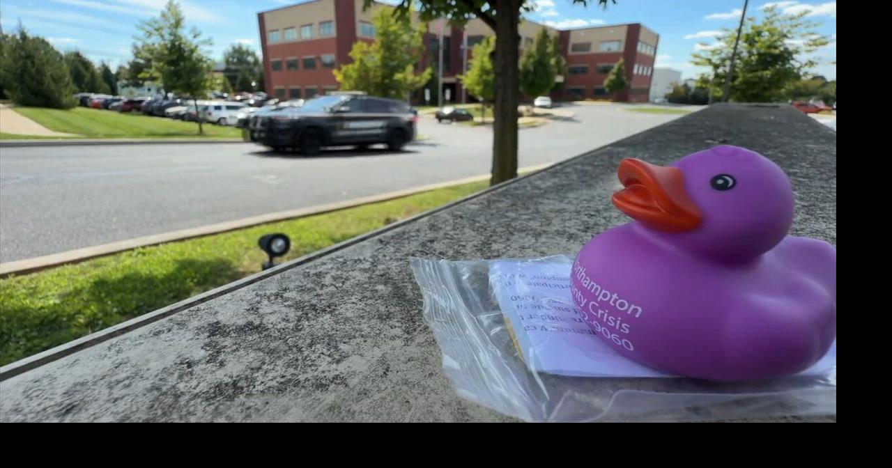 Northampton Co. launches suicide prevention campaign using 1,000 purple ducks