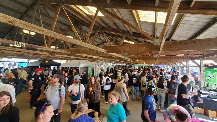 Pa Cannabis Festival attracts thousands from across America and beyond
