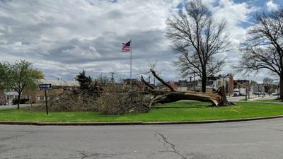 Wind Downs Trees Wires In Berks Thousands Lose Power Berks Regional News Wfmz Com