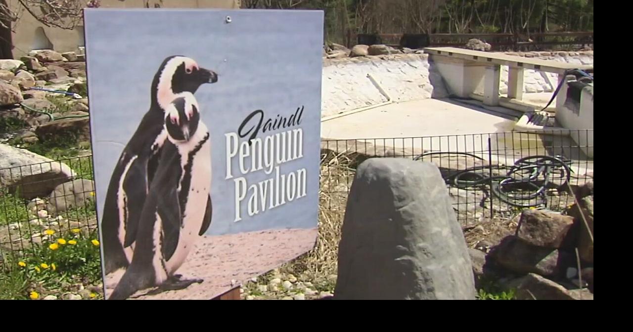 New projects in the works at Lehigh Valley Zoo | Lehigh Valley Regional ...