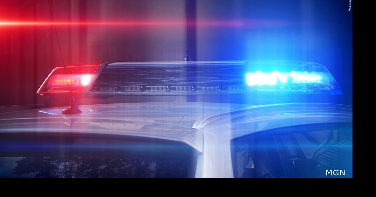 Kitten thrown from vehicle, struck by another in suspected animal cruelty case, Bethlehem police say