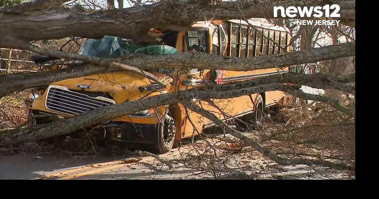 School bus crushed by falling tree in Hunterdon County | Regional ...
