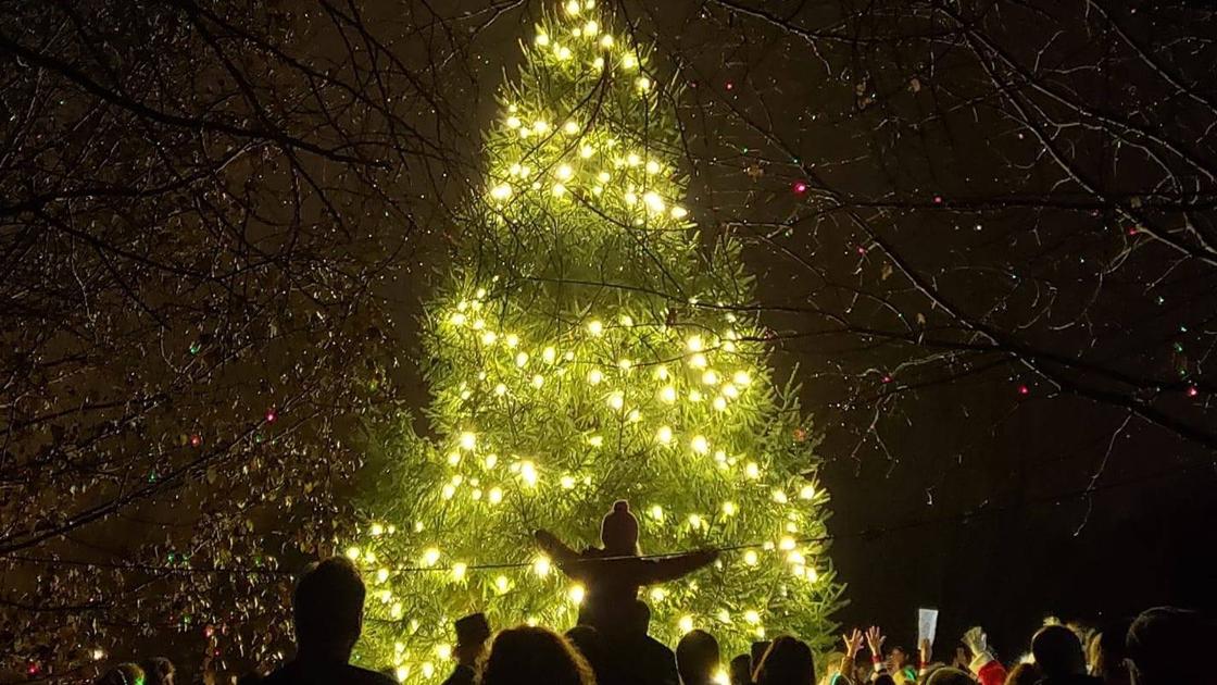 Christmas Tree Lighting Ceremony Set For Carsonia Park Berks Regional News Wfmz Com