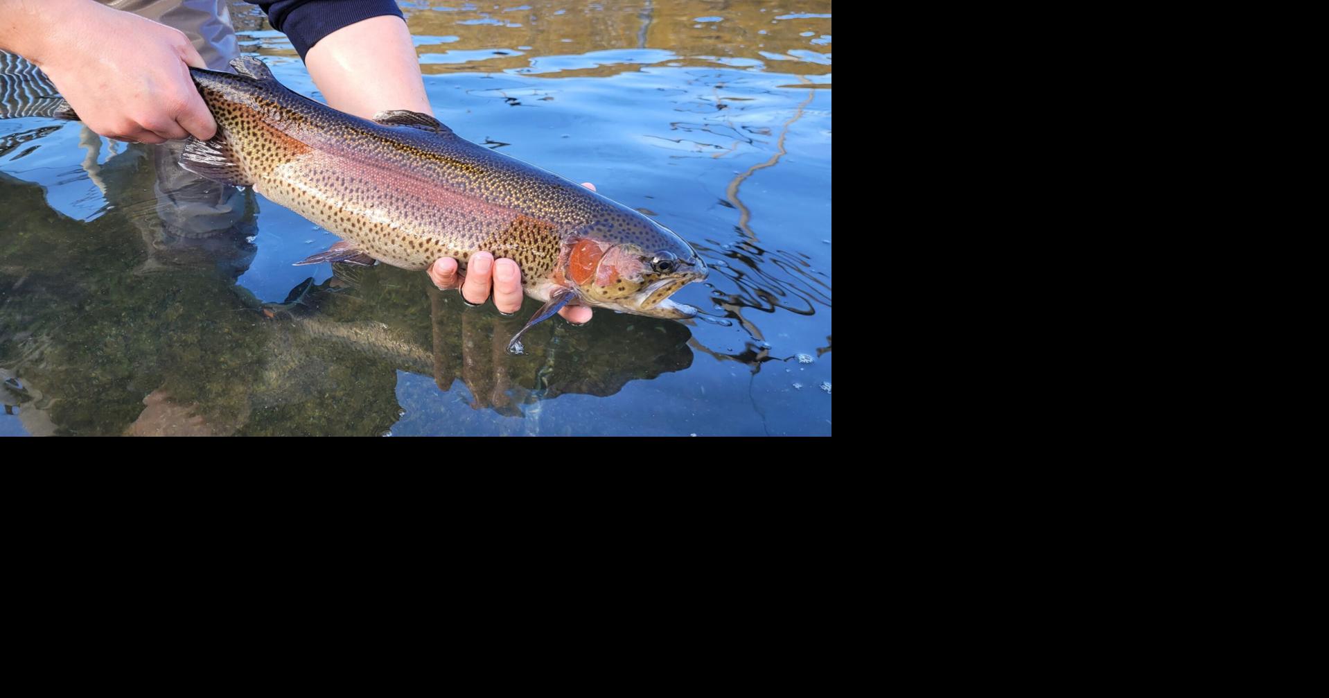 Pennsylvania releases 2026 trout stocking schedule