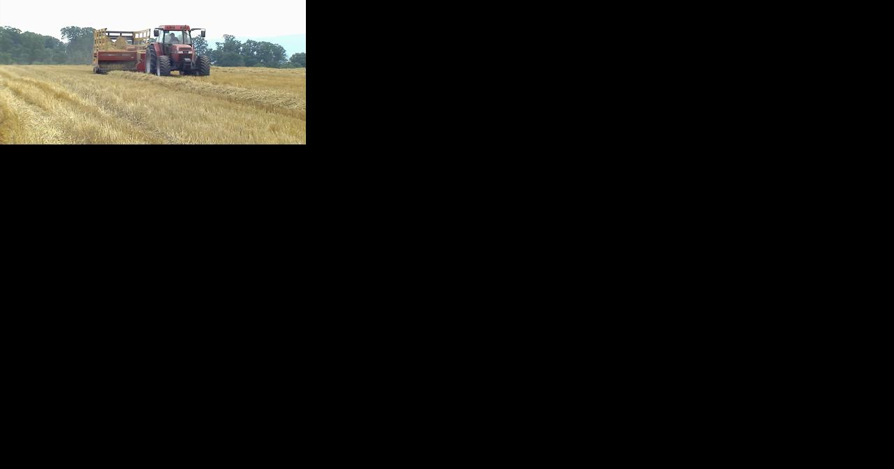 Drought conditions followed by heavy rains causing challenges for local farmers - Vimarsana News