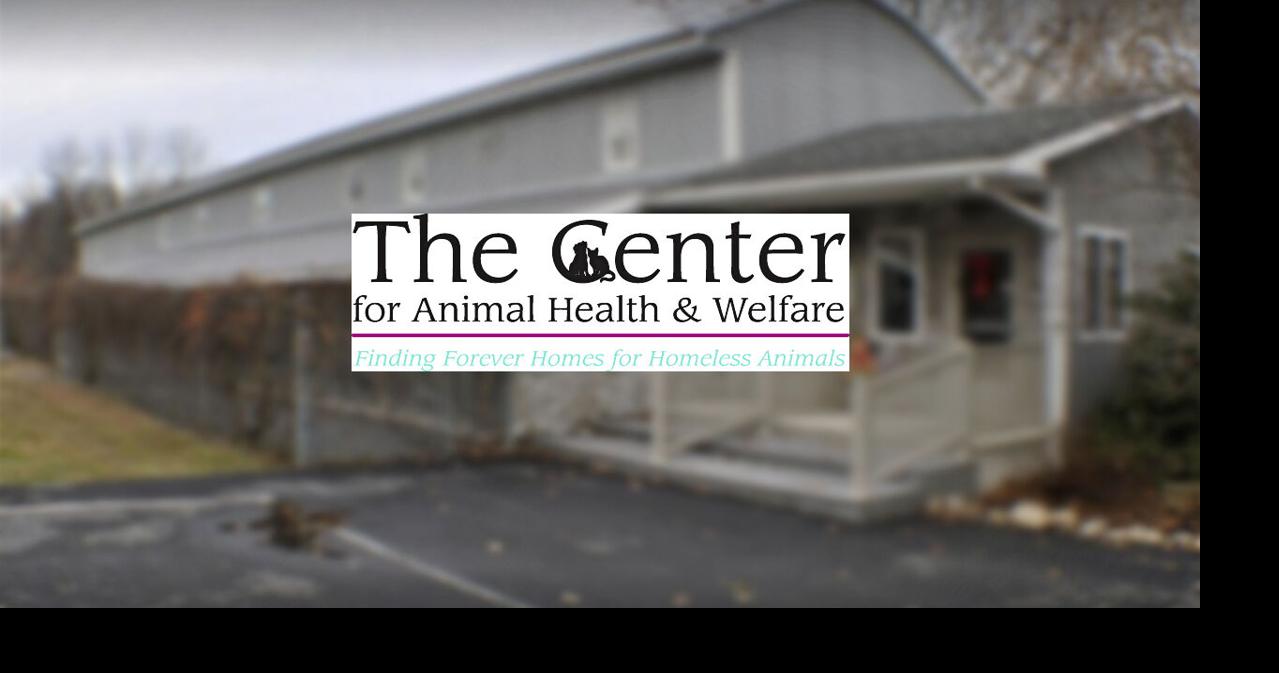 Easton area animal shelter expands with kennel acquisition | Easton ...