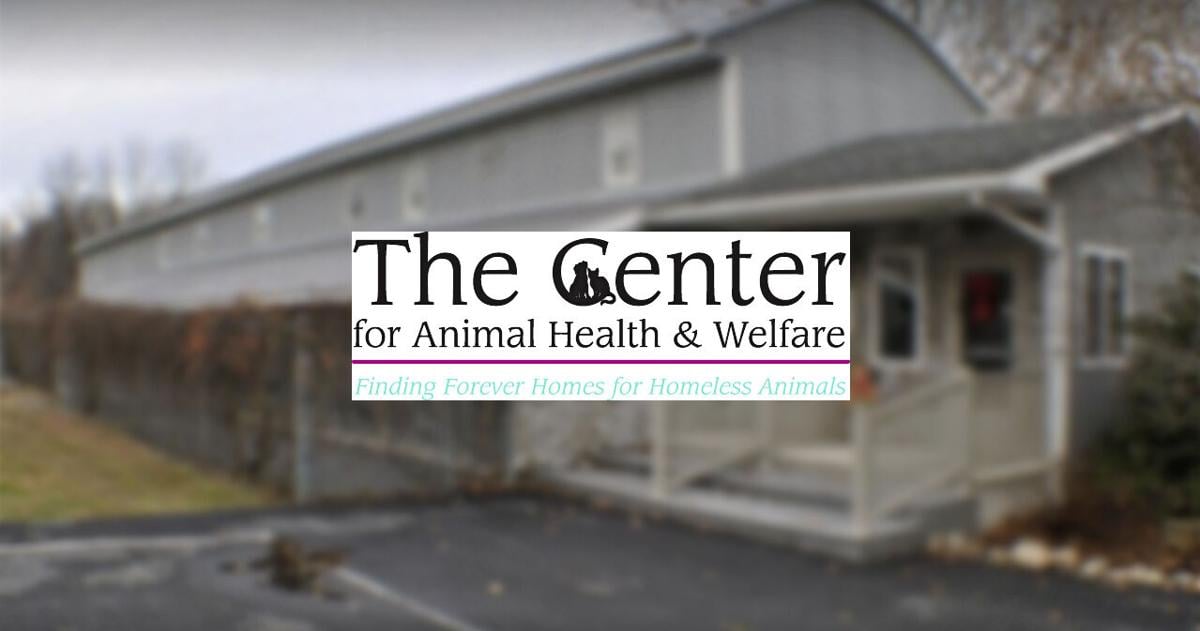 Baca Animal Easton area animal shelter expands with kennel acquisition | Easton ...
