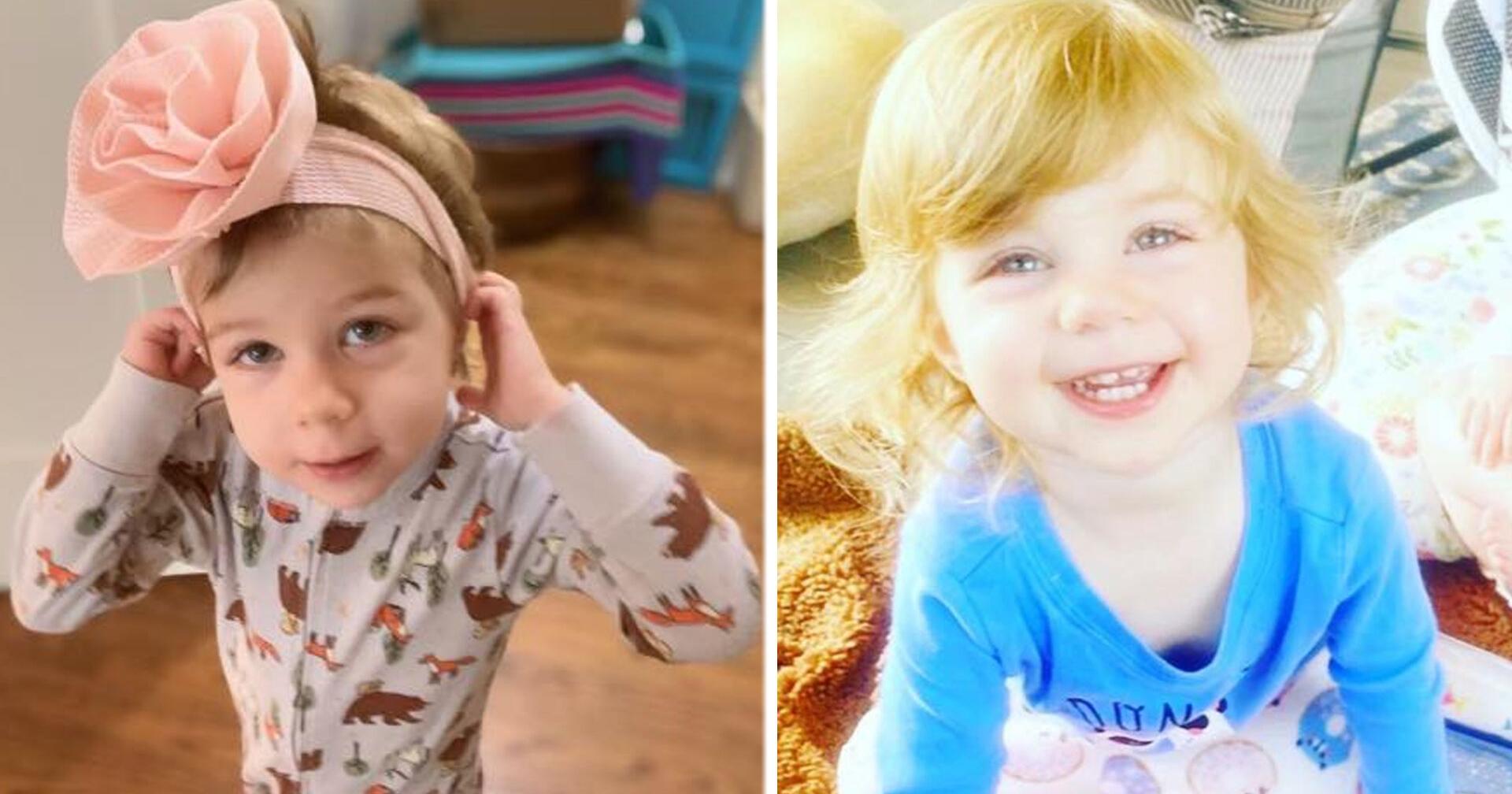 Body believed to be of missing 2-year-old girl found in Delaware River after week-long search in Bucks Co. - Vimarsana News