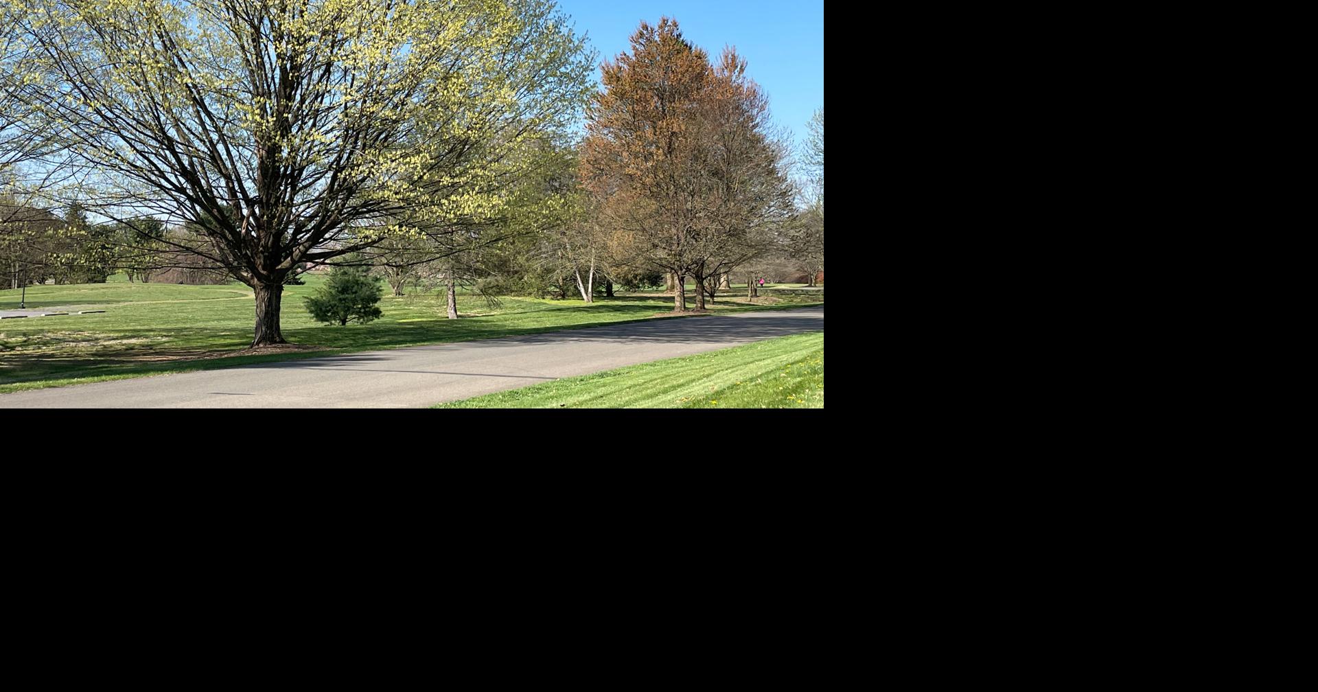 Northampton County adds halfday rentals for pavilions at Louise W