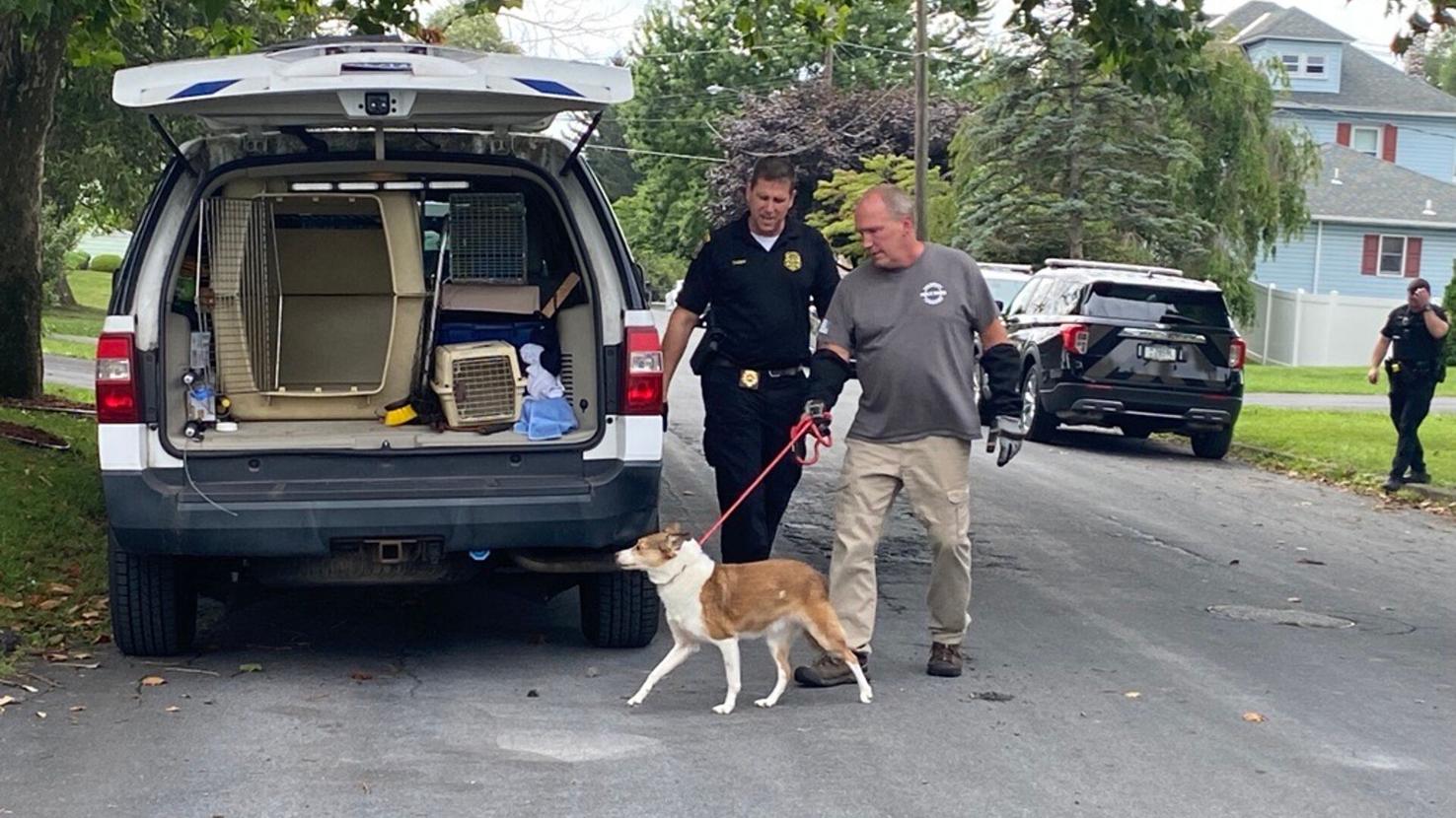 Animal Control removes dog from Salisbury Township home