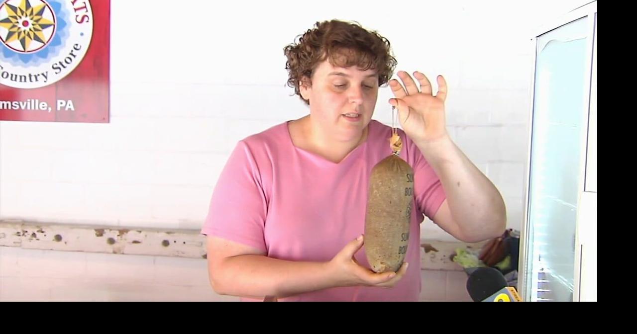 Kutztown Folk Festival Video