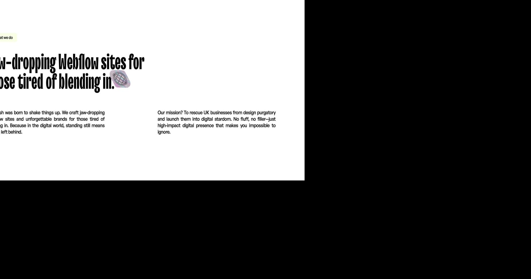 Blushush and Ohh My Brand Forge Strategic Alliance to Redefine Digital Branding and Web Experience