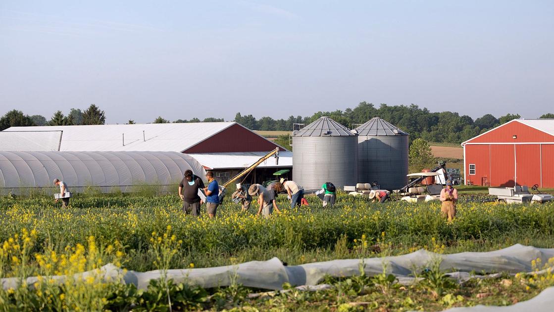 Healing The Planet Giant Rodale Form Partnership Berks Regional News Wfmz Com