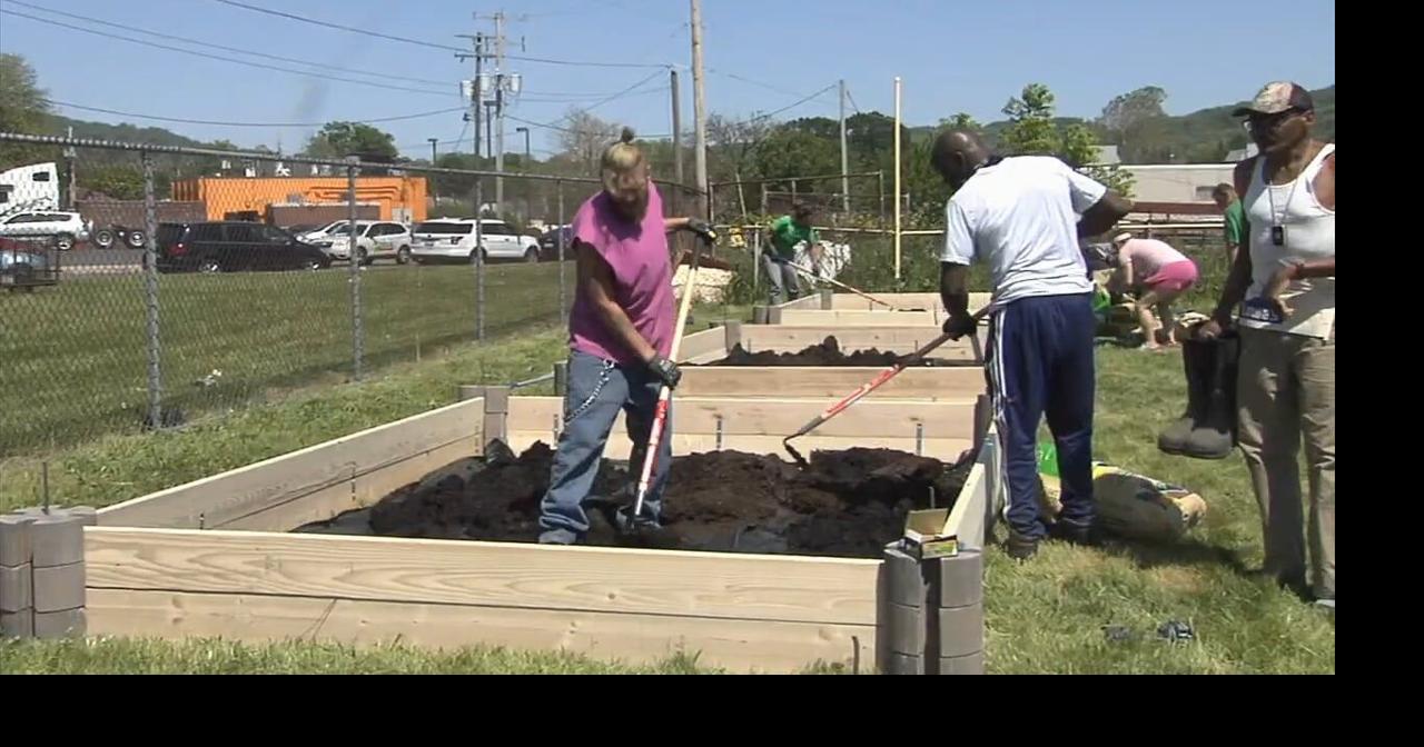 'A little bit of the country here in the city' Volunteers break ground