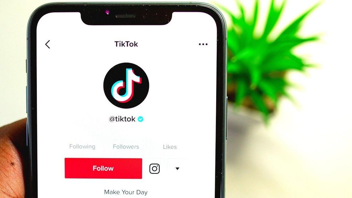 US's New Jersey may limit TikTok to separate devices, emails show, Social  Media