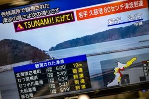 Tsunami warning as major quake hits northern Japan, shakes Tokyo