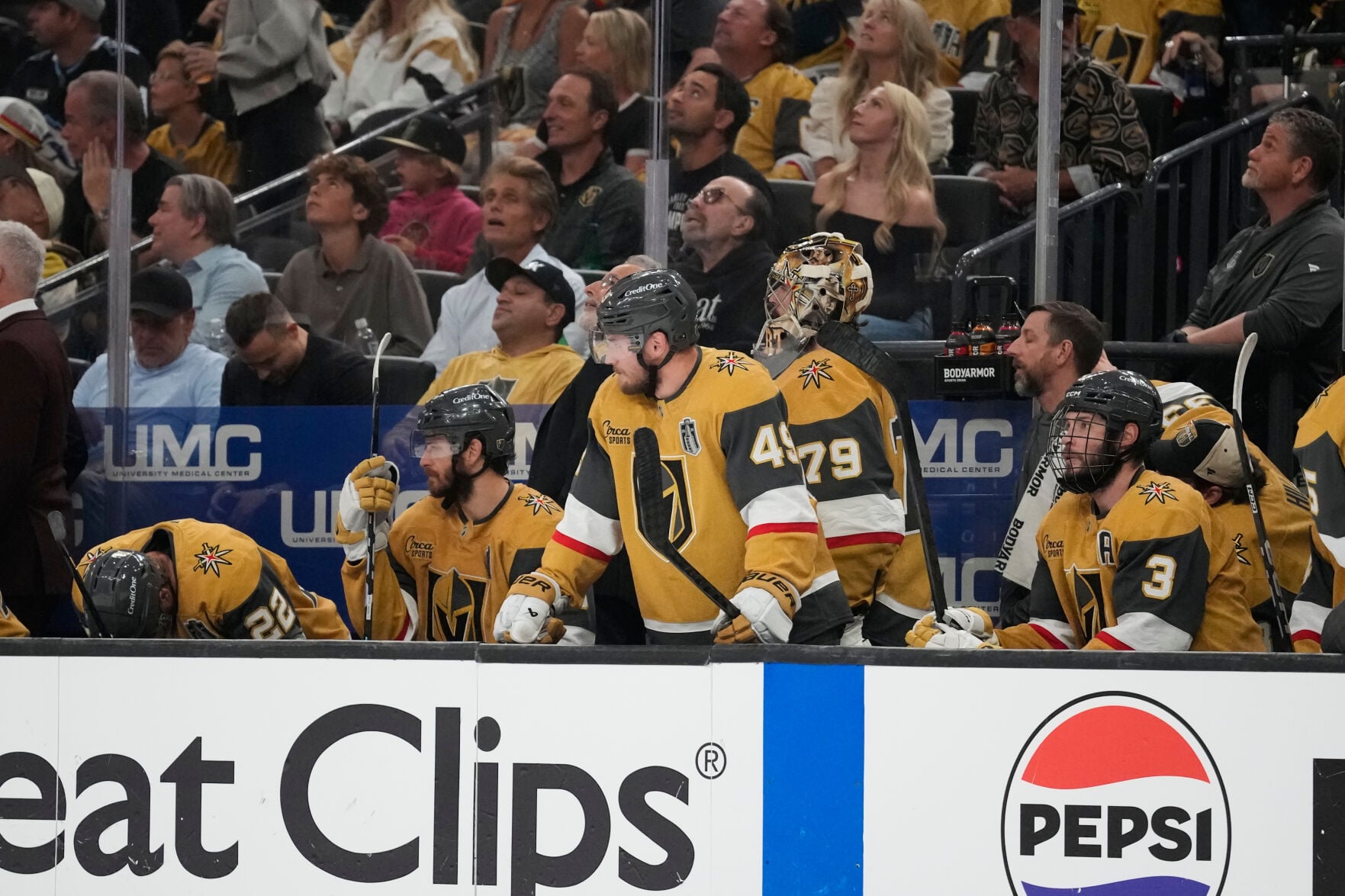Golden Knights promote Ryan Craig to head coach from AHL Apsports