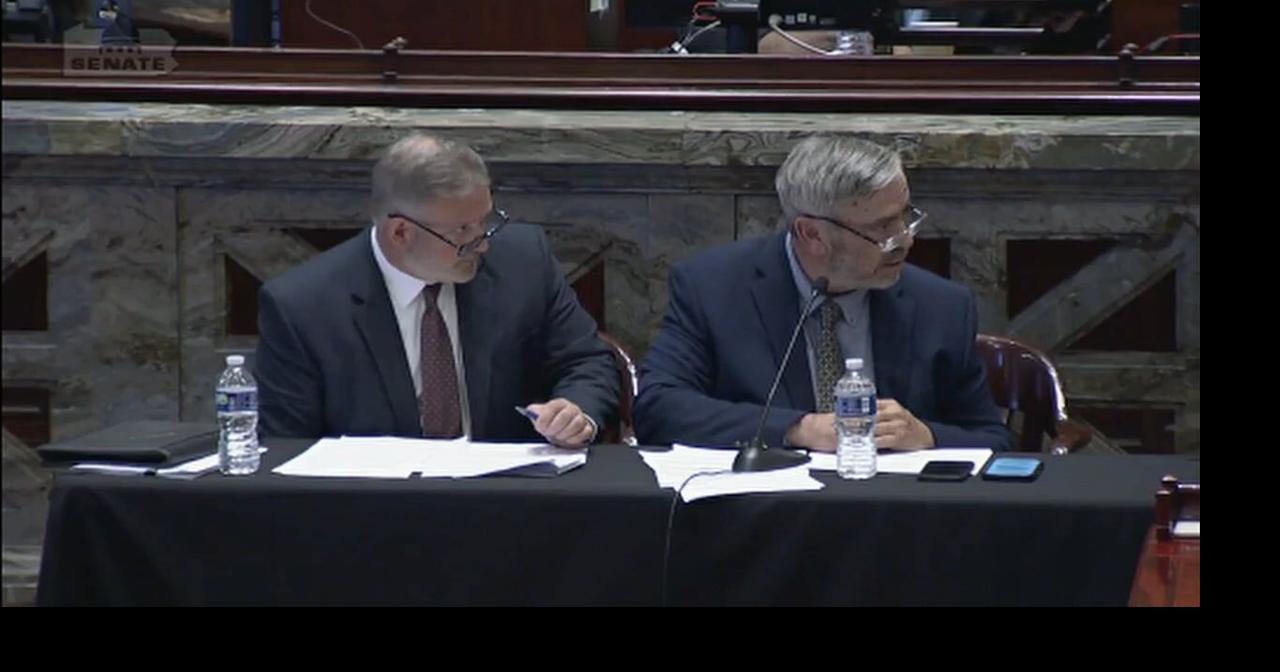 NIZ has never been audited, Pat Browne says in Pa. Senate hearing about