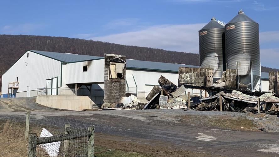 PHOTOS Chicken house fire in Upper Bern Berks Regional News