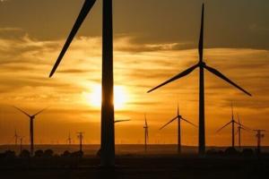 EU will struggle to secure key raw materials supply, warns report