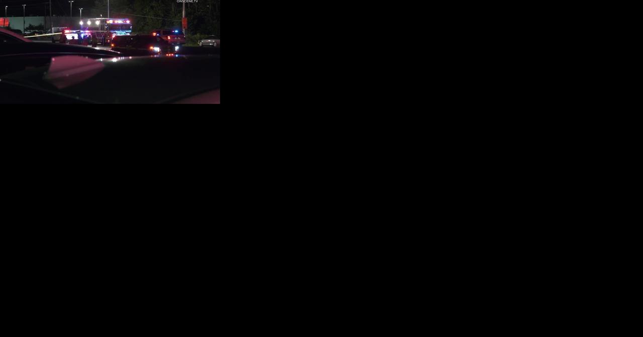 Coroner IDs pedestrian fatally struck on Route 309 near Quakertown - Vimarsana News