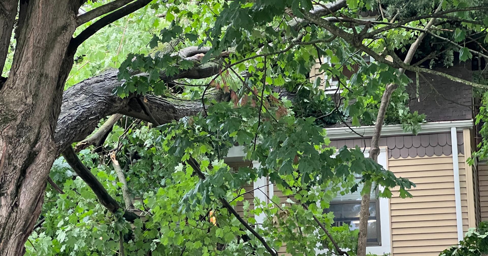 Tree falls on house in Hellertown, as storms move through Lehigh Valley - Vimarsana News
