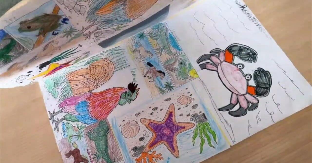 Allentown students exchange artwork , letters , with kids in Puerto Rico