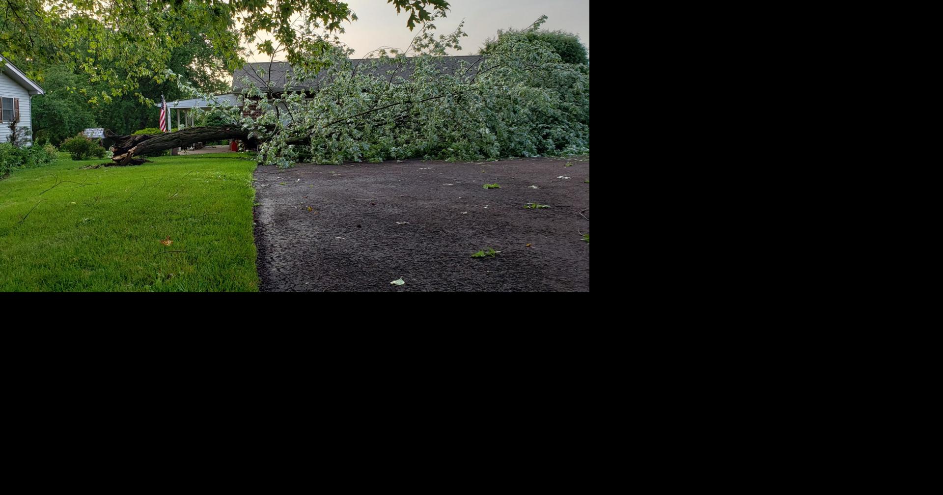 Severe storm uproots trees, causes damage in parts of Bucks ...
