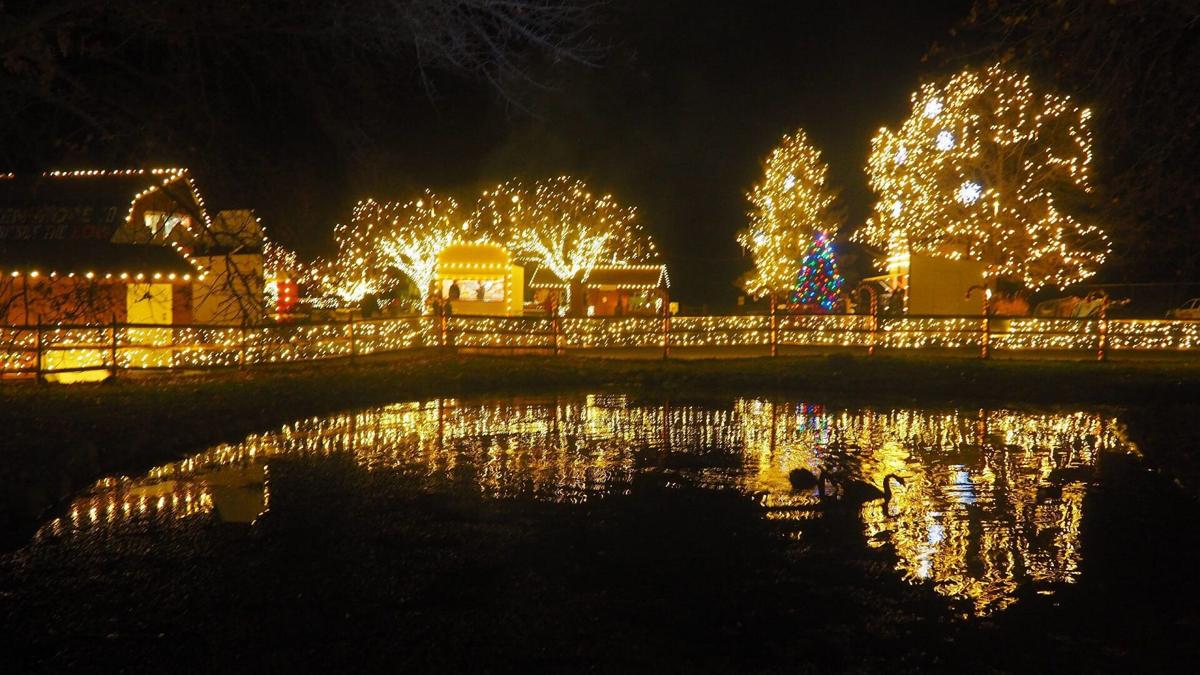 Winter Light Spectacular returns to Lehigh Valley Nov. 10 | Lehigh Valley  Regional News | wfmz.com