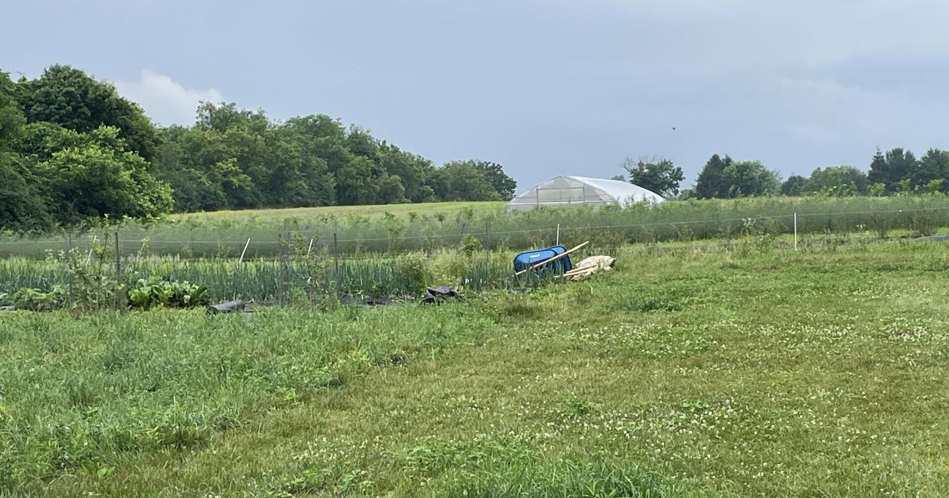 Northampton County preserves 250th farm, bringing county total to more than 19,000 acres - Vimarsana News