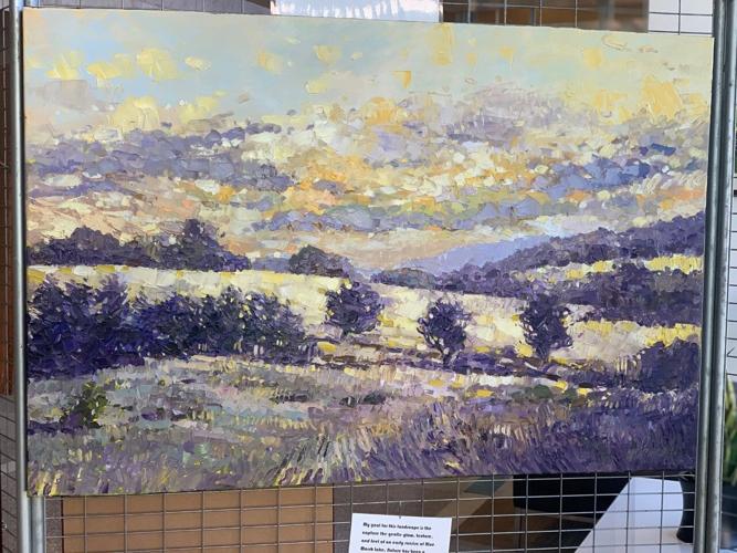 Reading Hospital Art Show