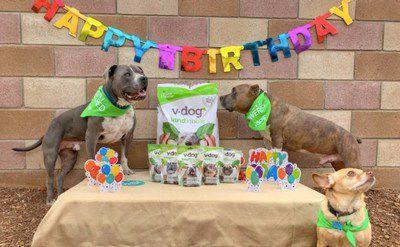 V Dog Celebrates 15th Anniversary During Annual Vegan Dog Month Campaign News Wfmz Com