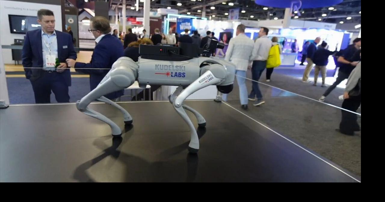 What The Tech? U.S. restricts foreign-made robot access over concerns of privacy