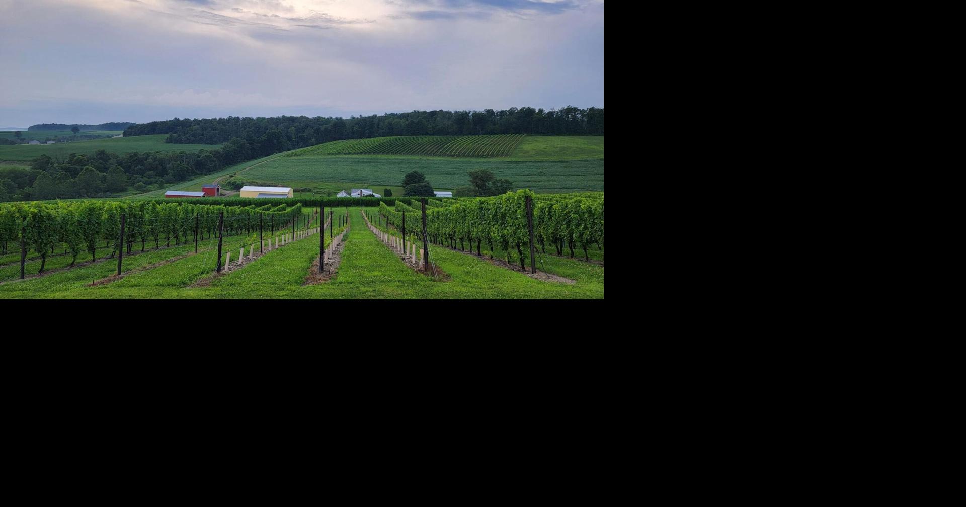 Schuylkill County winery earns ‘best white wine’ in Pa. distinction