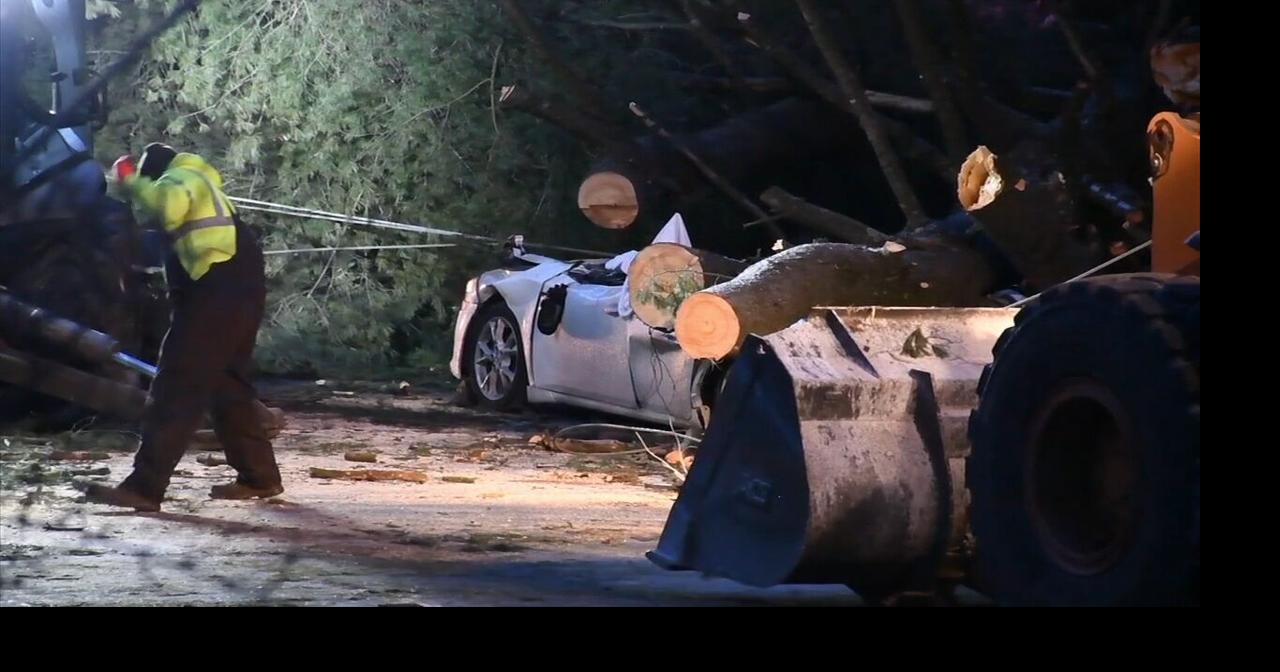 1 dead after tree falls on car in Montgomery County | Southeastern ...